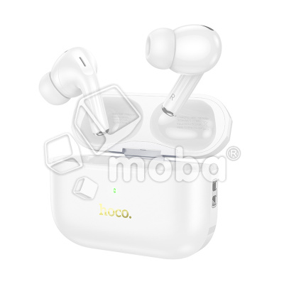 HF-BLT-HCO-EW56-PLS-W